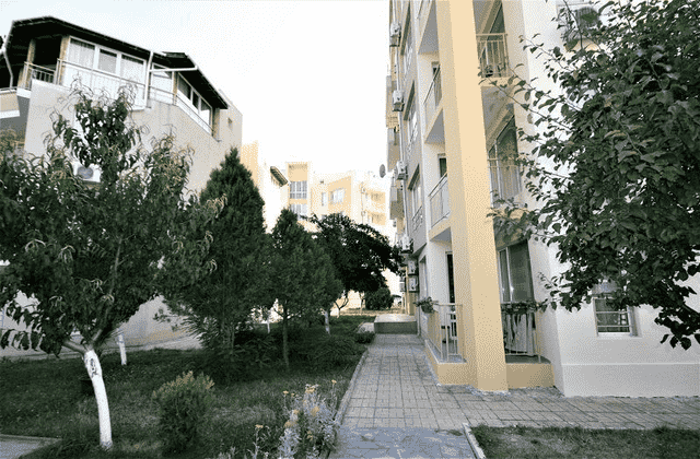 Palm_Court-3